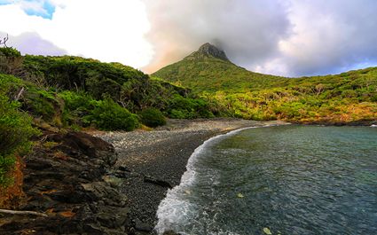 Boat Harbour - Lord Howe Island - NSW T (PB5D 00 3163)